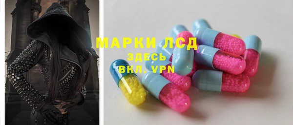 сатива Абаза