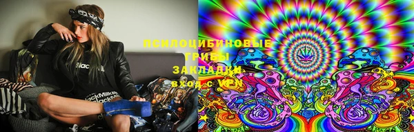 сатива Абаза