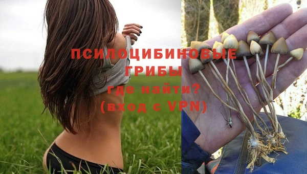 МДМА Абдулино