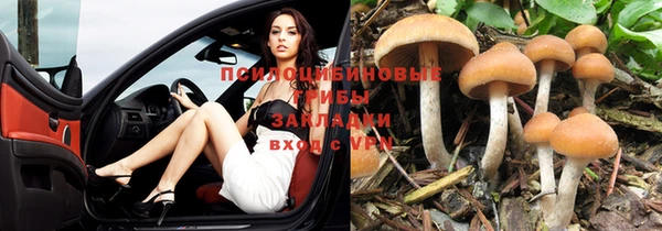 экстази Новокубанск