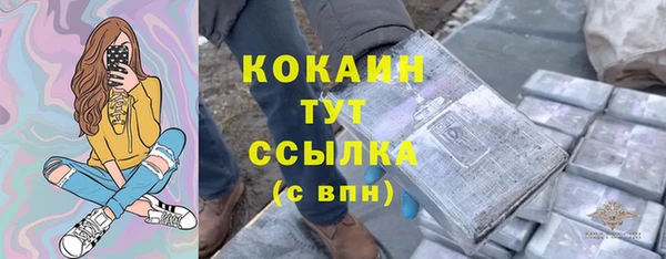 сатива Абаза