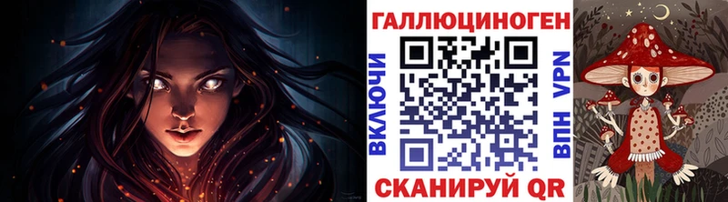 Галлюциногенные грибы Psilocybe  Ильский 